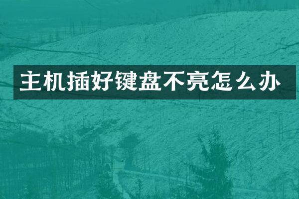 主机插好键盘不亮怎么办