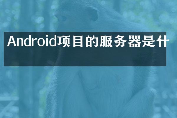 Android项目的服务器是什么