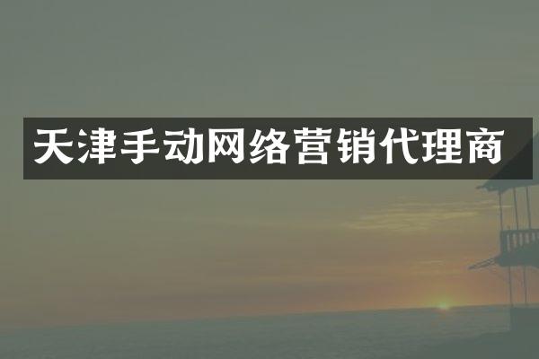 天津手动网络营销代理商