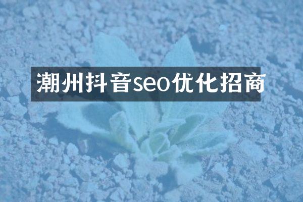 潮州抖音seo优化招商