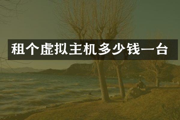 租个虚拟主机多少钱一台