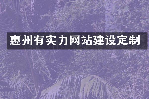 惠州有实力网站建设定制