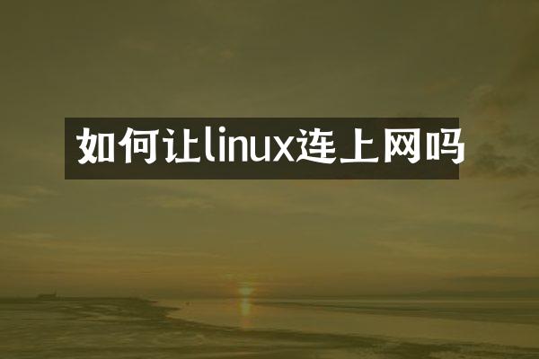 如何让linux连上网吗