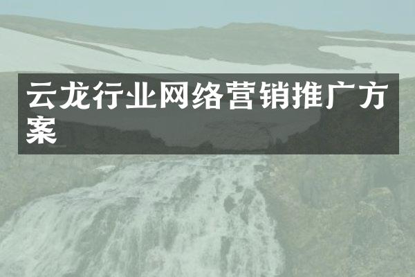 云龙行业网络营销推广方案