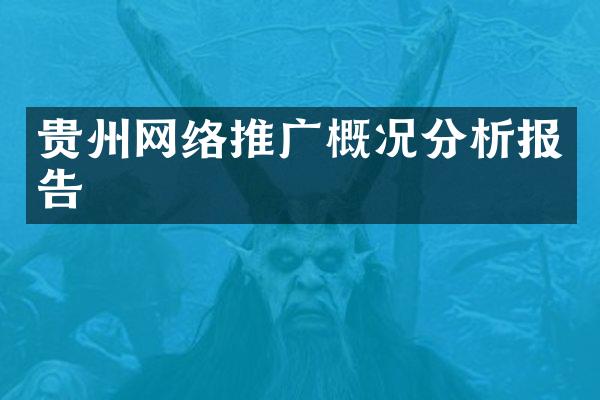 贵州网络推广概况分析报告