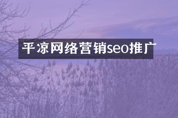 平凉网络营销seo推广