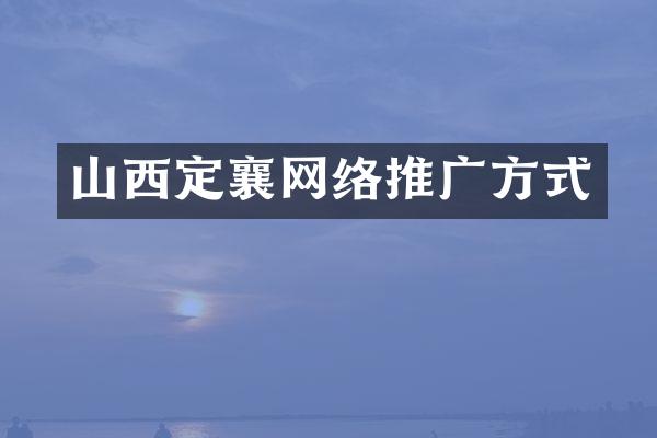 山西定襄网络推广方式