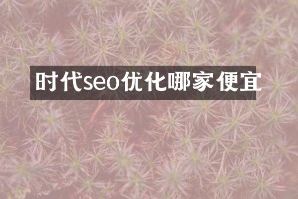 时代seo优化哪家便宜