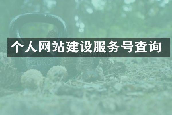 个人网站建设服务号查询