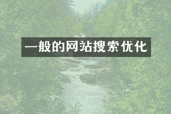 一般的网站搜索优化