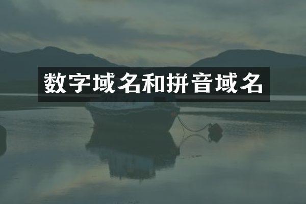 数字域名和拼音域名