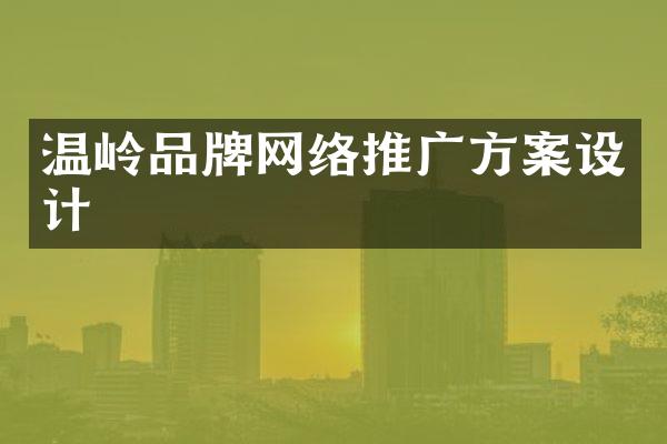 温岭品牌网络推广方案设计