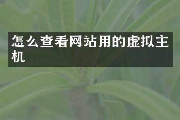 怎么查看网站用的虚拟主机