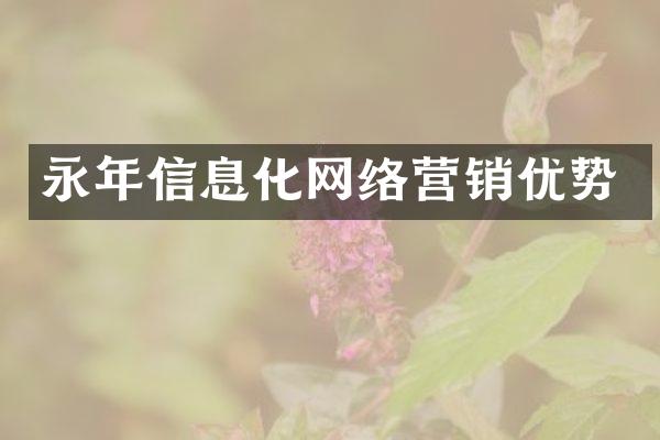永年信息化网络营销优势
