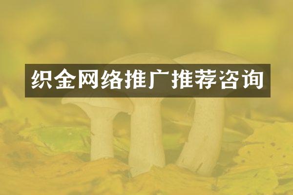 织金网络推广推荐咨询