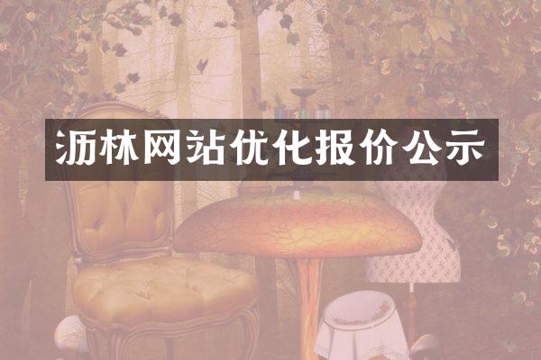 沥林网站优化报价公示