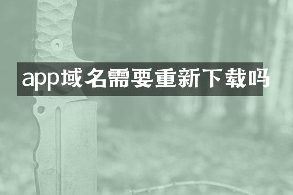 app域名需要重新下载吗