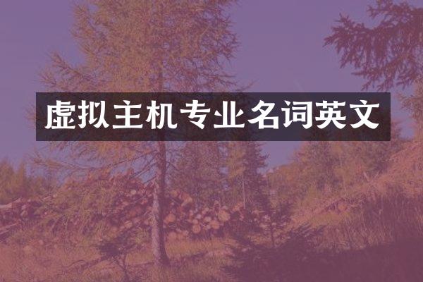虚拟主机专业名词英文