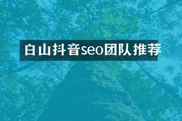 白山抖音seo团队推荐