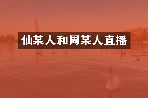 仙某人和周某人直播