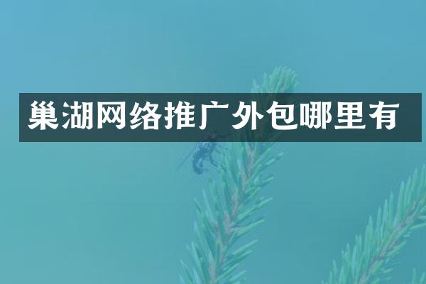巢湖网络推广外包哪里有