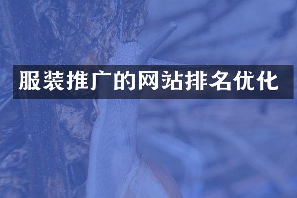 服装推广的网站排名优化