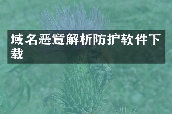 域名恶意解析防护软件下载