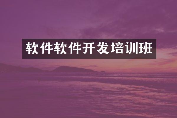 软件软件开发培训班