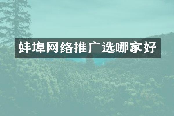蚌埠网络推广选哪家好