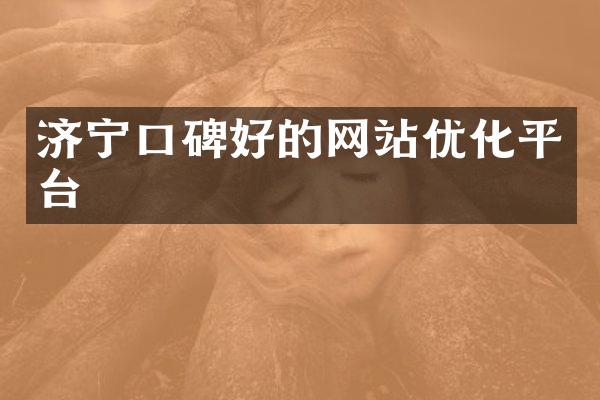济宁口碑好的网站优化平台