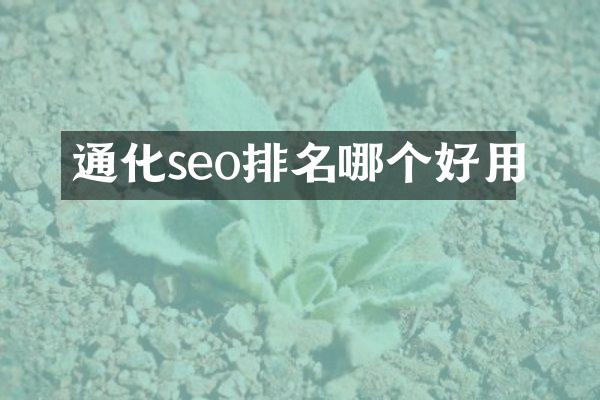 通化seo排名哪个好用