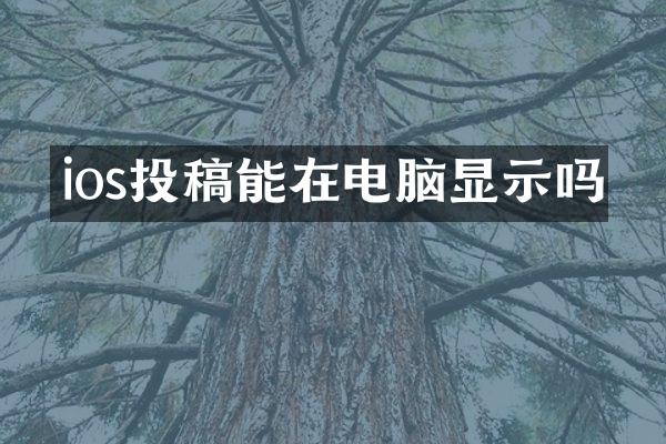 ios投稿能在电脑显示吗