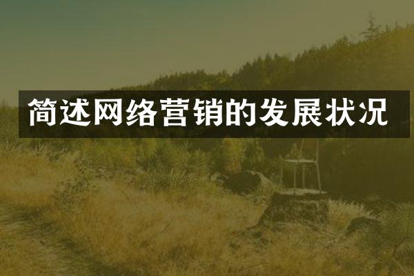 简述网络营销的发展状况