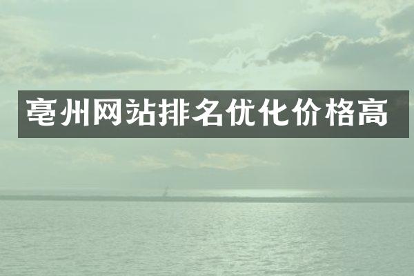 亳州网站排名优化价格高