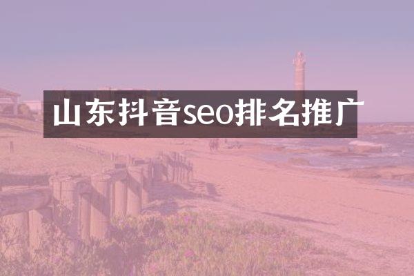 山东抖音seo排名推广
