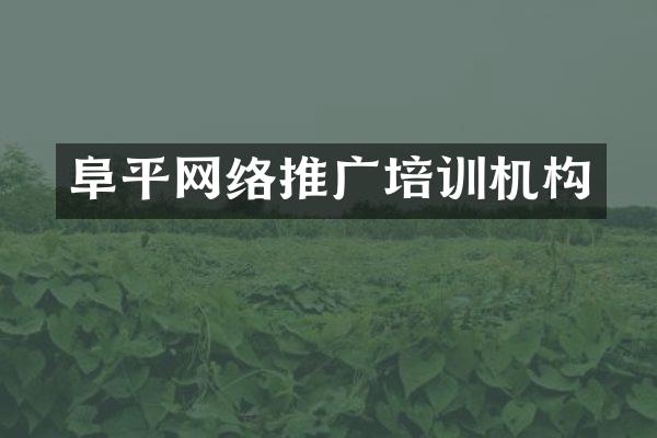 阜平网络推广培训机构