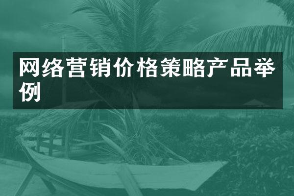 网络营销价格策略产品举例