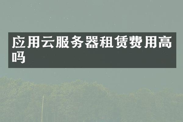 应用云服务器租赁费用高吗