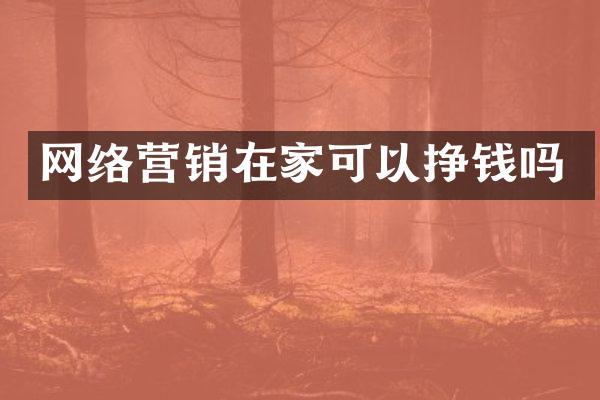网络营销在家可以挣钱吗