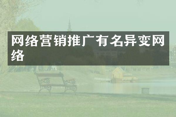 网络营销推广有名异变网络