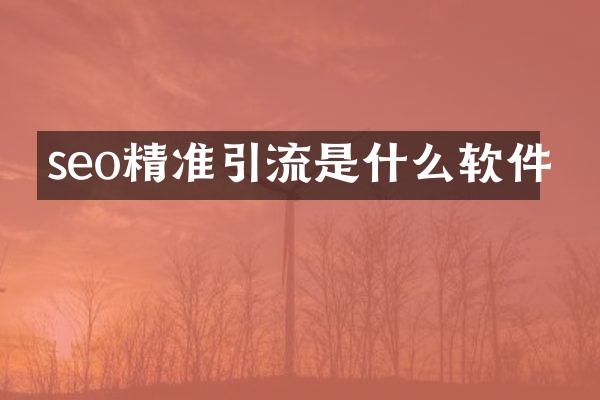 seo精准引流是什么软件