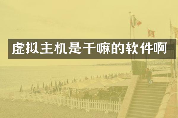 虚拟主机是干嘛的软件啊