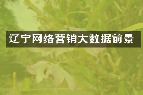 辽宁网络营销大数据前景