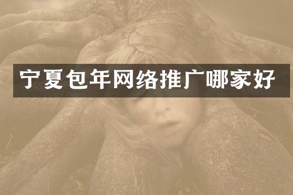 宁夏包年网络推广哪家好