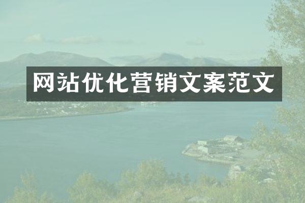 网站优化营销文案范文