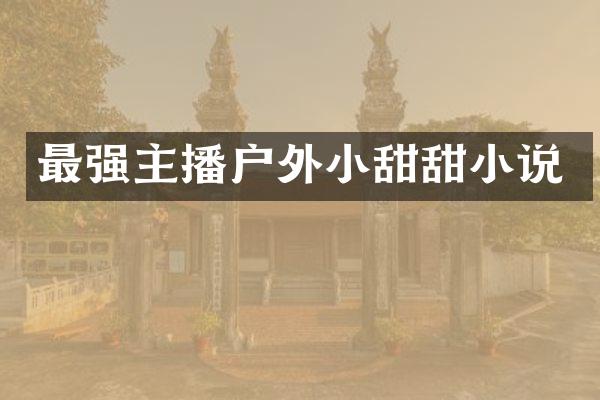 最强主播户外小甜甜小说