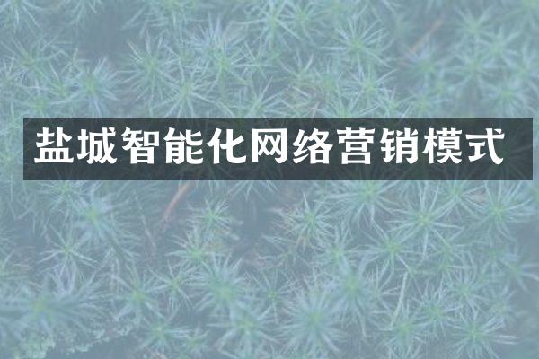 盐城智能化网络营销模式