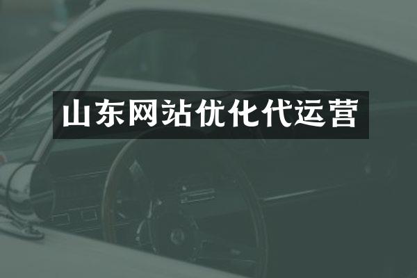 山东网站优化代运营