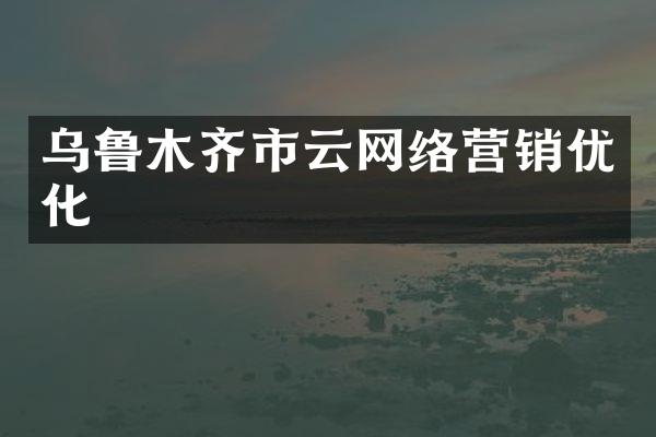 乌鲁木齐市云网络营销优化