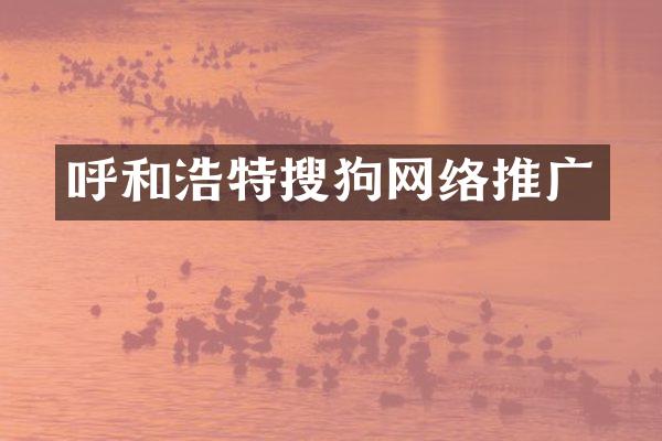 呼和浩特搜狗网络推广